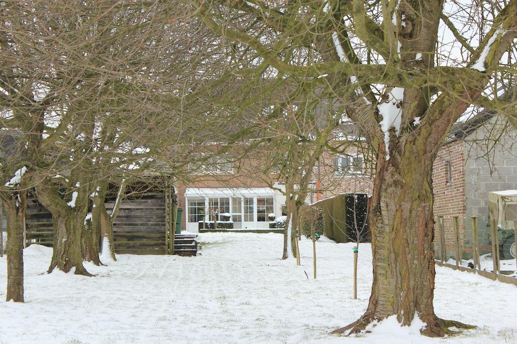 B&B Den Boomgaard Moorsel Екстер'єр фото
